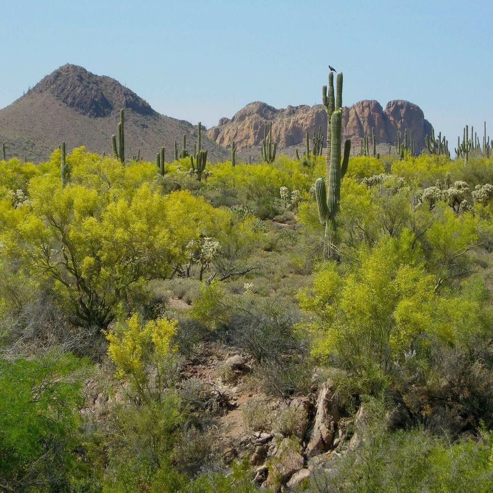 Meet your Posher, Bernice